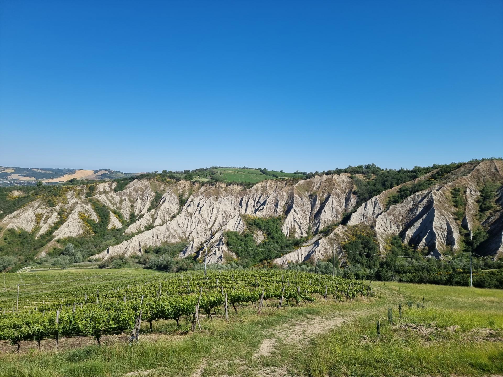 Vigne e Calanchi a Riolo Terme foto di Autore sconosciuto